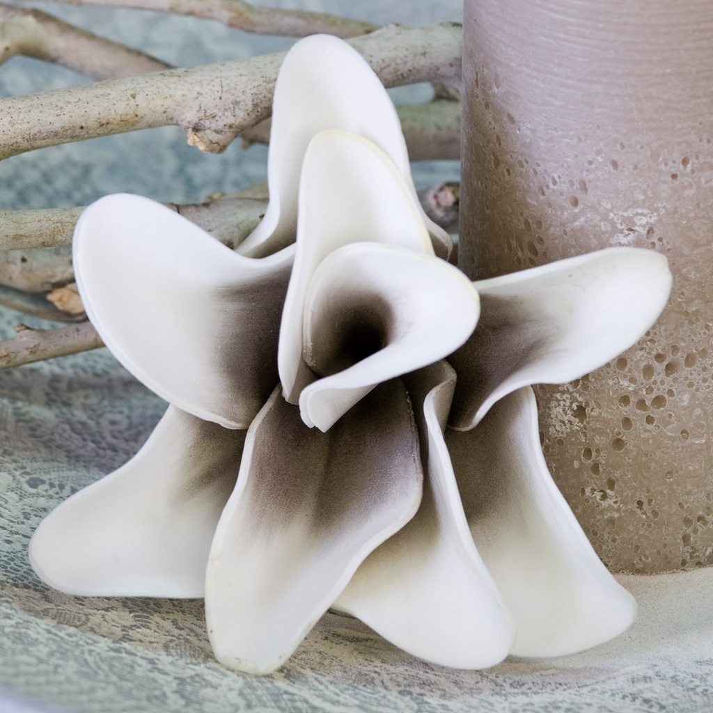 Foam Flower "Rumba" weiss/taupe L 18 cm