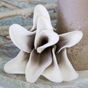 Foam Flower "Rumba" weiss/taupe L 18 cm