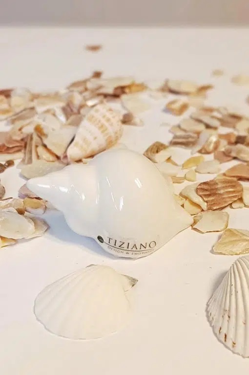 Deko/Stecker Mini Muschel "Beachtime" Keramik creme 8 cm 