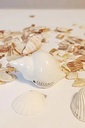 Deko/Stecker Mini Muschel "Beachtime" Keramik creme 8 cm 
