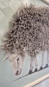 Leinwandbild 3D "Schaf mit Fell" 60x60