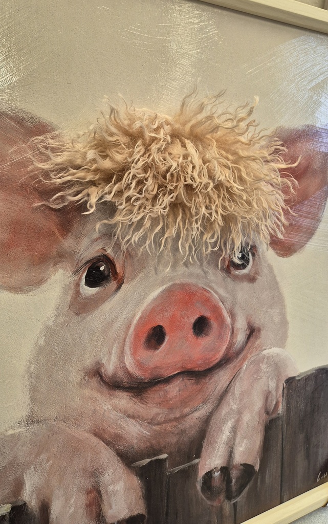 Leinwandbild 3D "Schwein mit Fell" 60x60cm