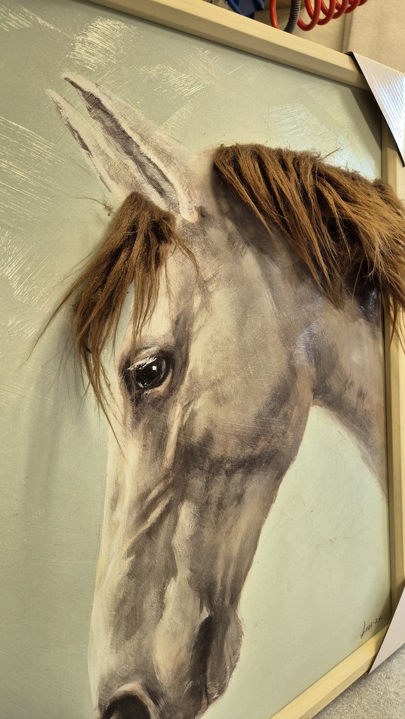 Leinwandbild 3D "Pferd mit Fell" 50x60cm