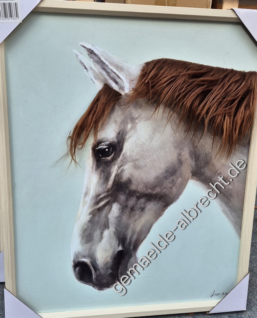 Leinwandbild 3D "Pferd mit Fell" 50x60cm