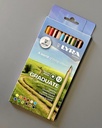 Buntstifte LYRA Graduate Etui 12 Stk