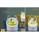 LED Windlicht "Calvo"