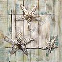 3D Bild Metall auf Holz Seestern 80 x 80 cm