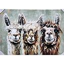 Org. Leinwandbild "Lama-Bande" 70x100 cm