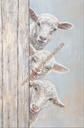 Original Leinwandbild "3 Schafe" 60 x 90 cm