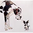Original Leinwandbild "Hunde groß/klein" 100 x 100 cm