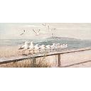 Original Leinwandbild "Küstenmöwen" 120 x 60 cm