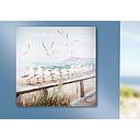 Leinwandbild "Möwen Küste" 60 x 60 cm