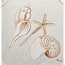 Original Leinwandbild "Muschel Set II" 60 x 60 cm