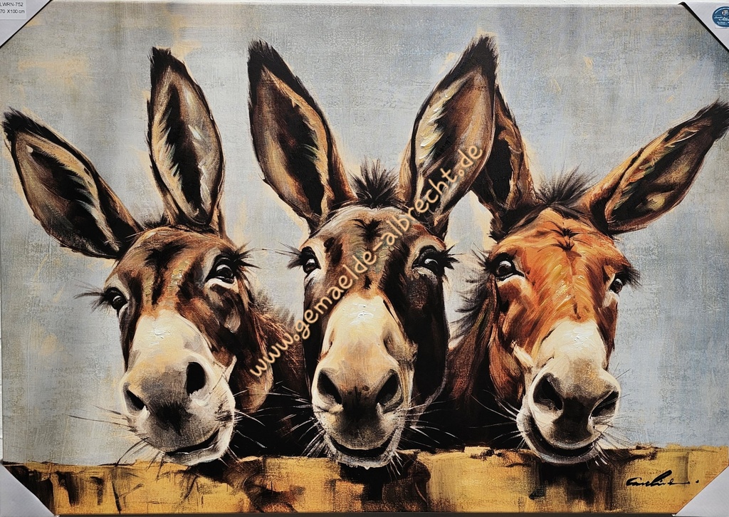 Org. Leinwandbild "Esel" 70x100 cm