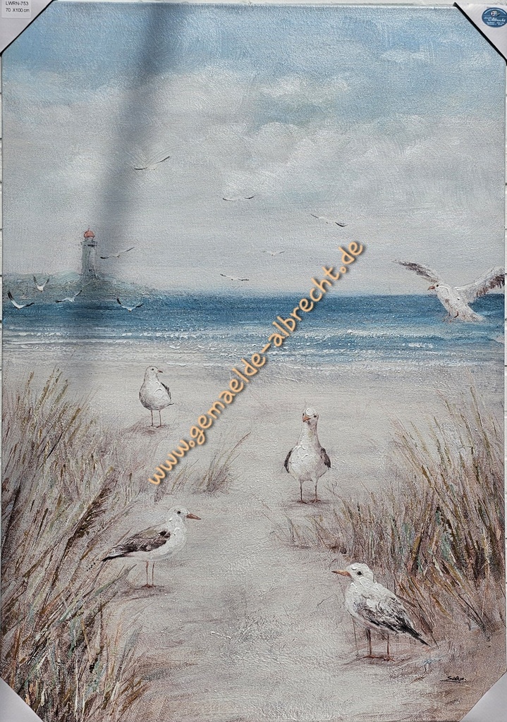 Org. Leinwandbild "Strandmöwen" 70x100 cm