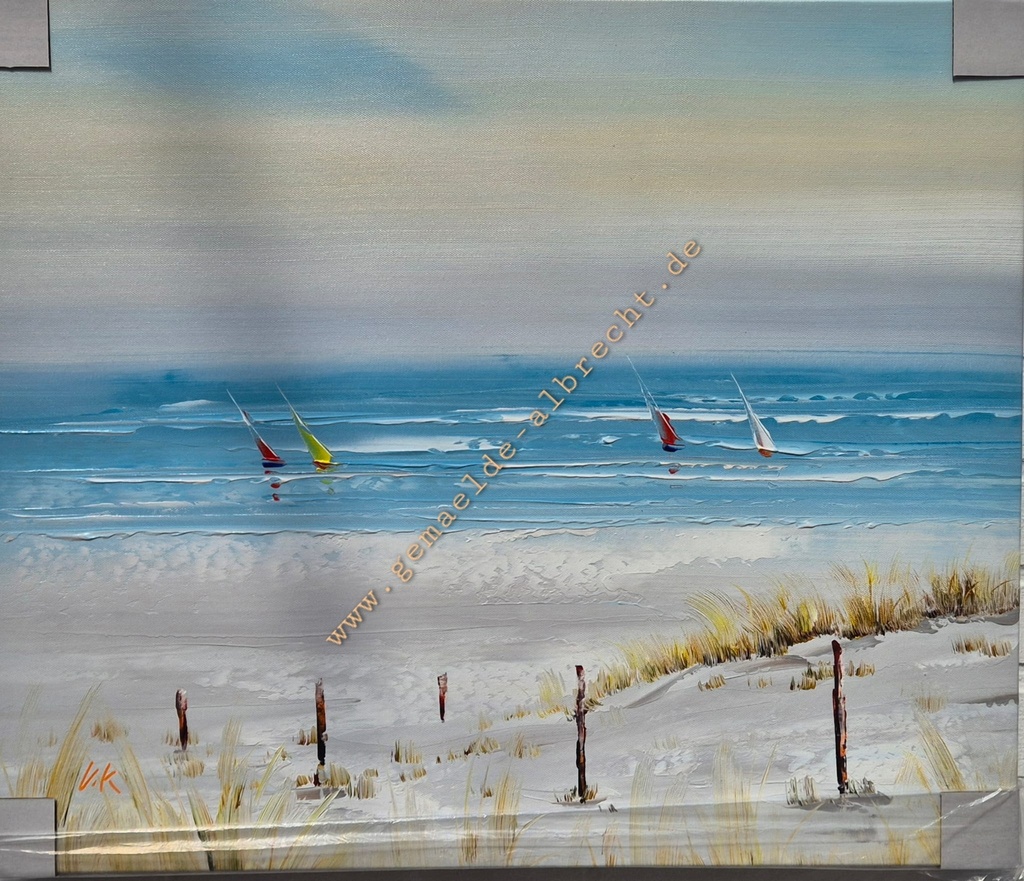 Orig. Leinwandbild "Düne" 50 x 60