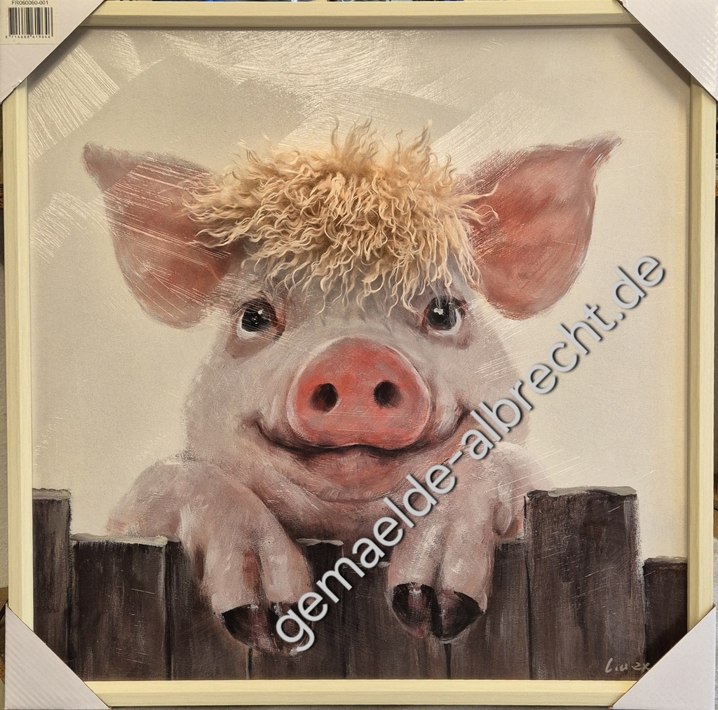Bild 3D "Schwein mit Fell" 60x60cm