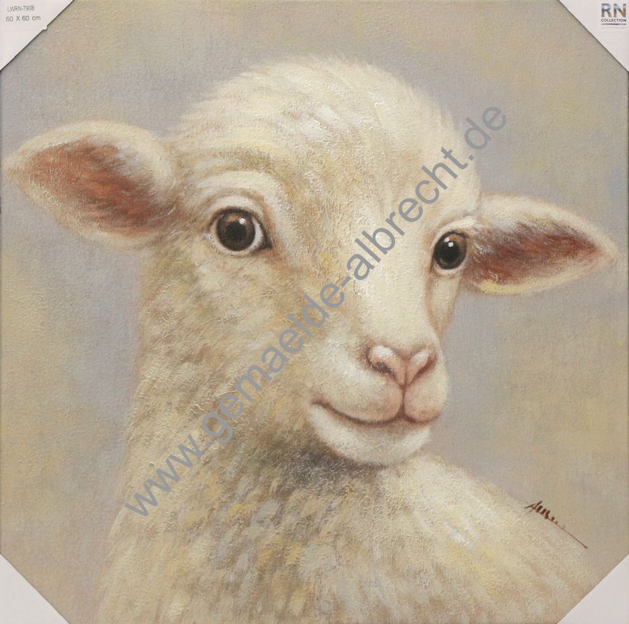 Leinwandbild "Schaf" B  60x60cm