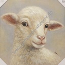 Leinwandbild "Schaf" B  60x60cm