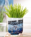 GlasArt Dekovase  "Oceano" H 18,5 cm