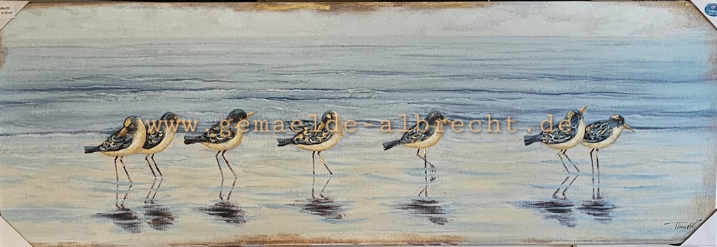 Orig. Leinwandbild "Strandläufer"  50 x 150 cm