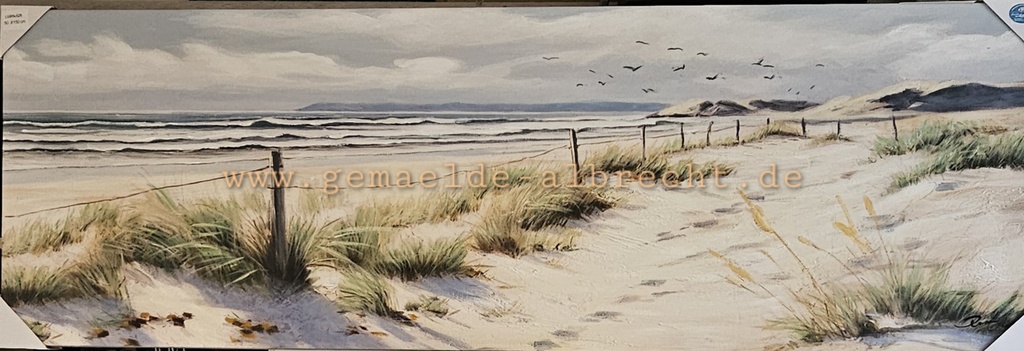 Orig. Leinwandbild "Dünen Panorama"  50 x 150 cm