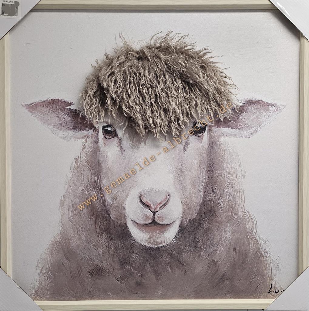 Original Leinwandbild "Schaf Nature" 60 x 60 cm