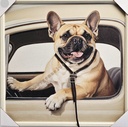 Bild mit Rahmen 3D "Hund mit Leine" 60x60cm
