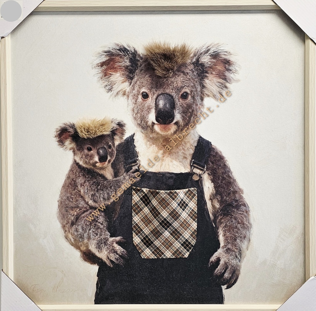 Bild 3D "Koala mit Nachwuchs" 60x60 cm