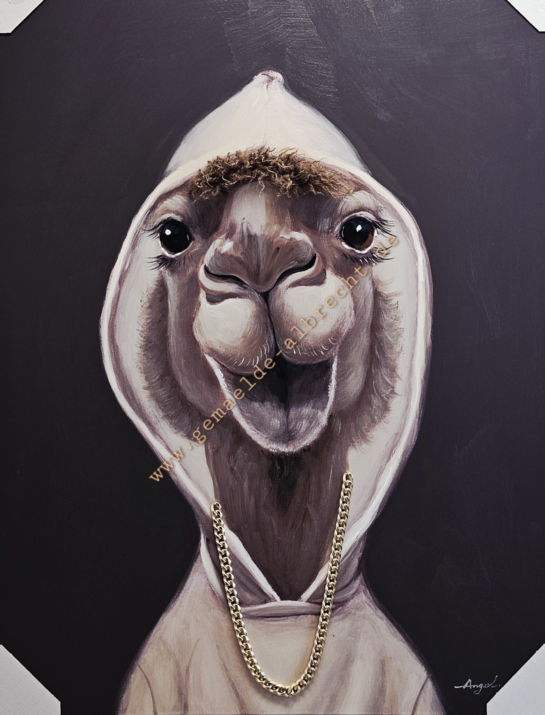 Leinwandbild 3D "Its Cool Camel" 75 x 100 cm