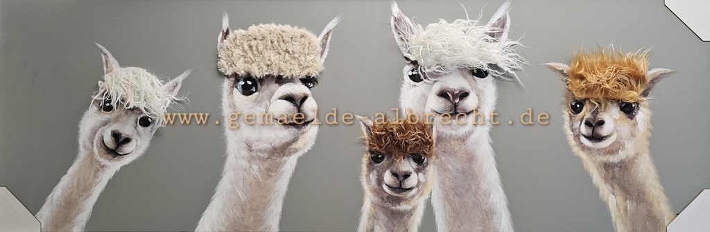 Leinwandbild 3D "Lama" 50 x 150 cm