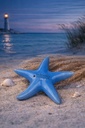 Skulptur Seestern "Mirina" blau klein