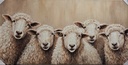 Original Leinwandbild "Schafgruppe" 140 x 70 cm