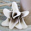 [P0002048] Foam Flower "Rumba" weiss/taupe L 18 cm