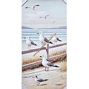 [P0003806] Org. Leinwandbild "Möwen I" 50x100 cm