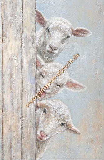 [REF] Original Leinwandbild "3 Schafe" 60 x 90 cm