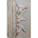 [REF] Original Leinwandbild "3 Schafe" 60 x 90 cm