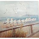 [REF] Original Leinwandbild "Möwen Küste" 80 x 80 cm