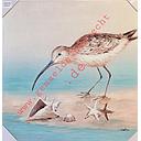 [REF] Original Leinwandbild "Strandvogel mit Muscheln II" 60 x 60 cm