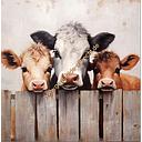 [P0004865] Original Leinwand "Kühe" 60 x 60 cm