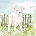 Servietten Lunch "Lamb in the Meadow" 33 x 33 cm