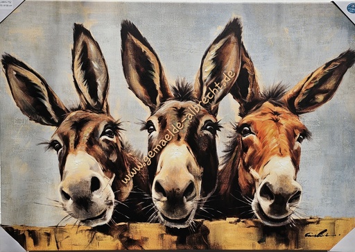 [P0007313] Org. Leinwandbild "Esel" 70x100 cm