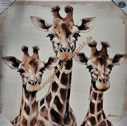 [P0007322] Org. Leinwandbild "Giraffen Trio" 60x60 cm