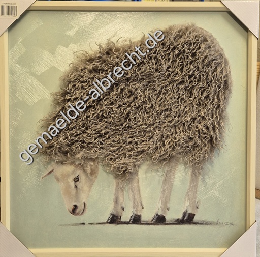 [P0007467] Leinwandbild 3D "Schaf mit Fell" 60x60cm