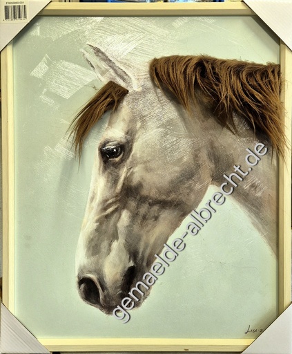 [P0007472] Leinwandbild 3D "Pferd mit Fell" 50x60cm