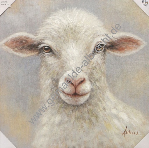 [P0007558] Leinwandbild "Schaf" A  60x60cm