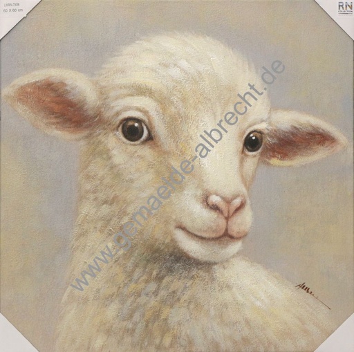 [P0007559] Leinwandbild "Schaf" B  60x60cm