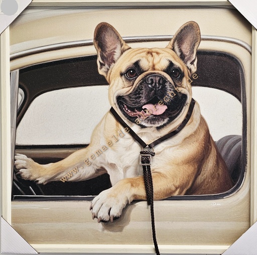 [P0007883] Bild mit Rahmen 3D "Hund mit Leine" 60x60cm