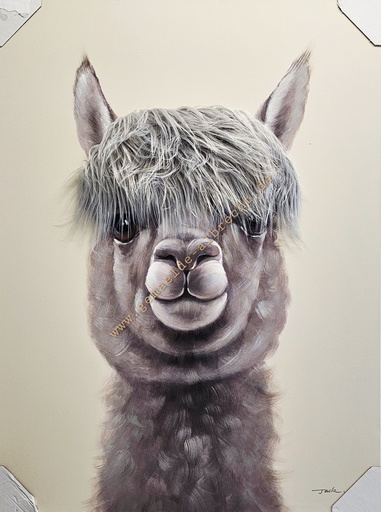 [P0007887] Orig. Leinwandbild 3D "Lama" 75 x 100 cm