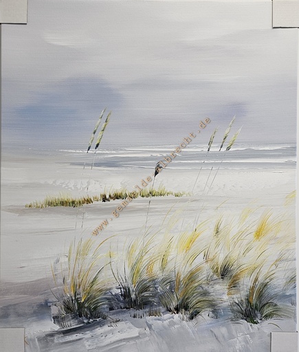 [P0008054] Org. Leinwandbild "Düne" 60x50 cm